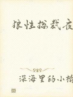 狼性总裁夜欢宠