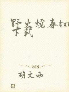 野火烧春txt下载