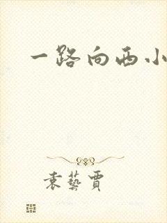 一路向西小说