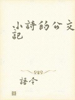 小诗的公交车日记