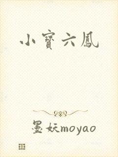 小宝六凤