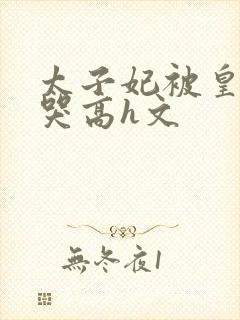 太子妃被皇上c哭高h文