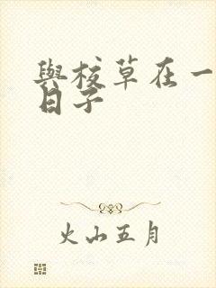 与校草在一起的日子