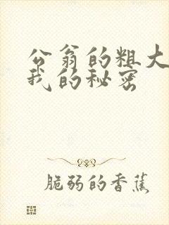 公翁的粗大放进我的秘密