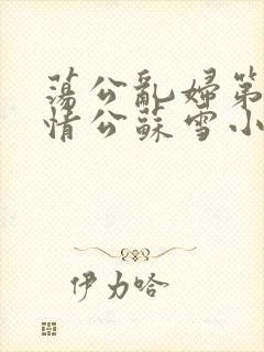 荡公乱妇第1章情公苏雪小说