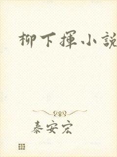 柳下挥小说封面