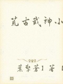 荒古武神小说