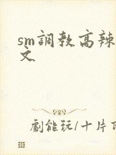 sm调教高辣h文
