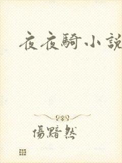 夜夜骑小说
