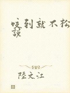 咬到就不松口小说