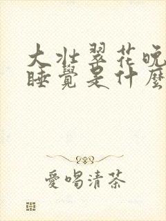 大壮翠花晚上不睡觉是什么电视剧