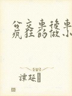 公交车后车座的疯狂的做小