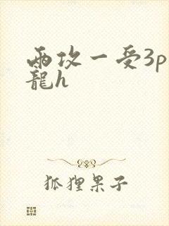 两攻一受3p双龙h
