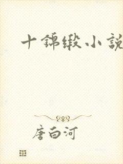 十锦缎小说