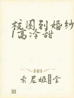 校园到婚纱1V1高冷甜封面