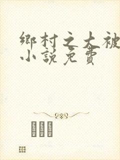 乡村之大被同眠小说免费