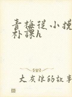 青梅从小摸到大补课h