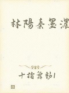 林阳秦墨浓度封面