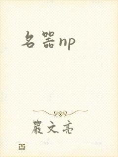 名器np
