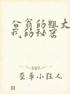 公翁的粗大放进我的秘密
