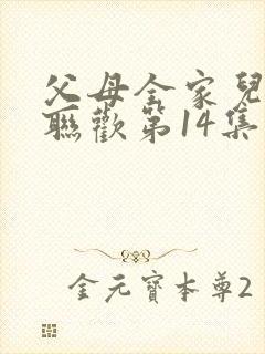 父母全家儿女大联欢第14集