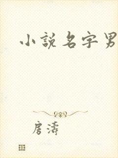 小说名字男生