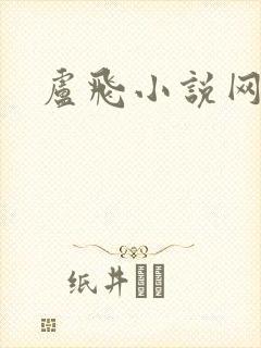 卢飞小说网