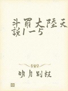 斗罗大陆天狂传说1一5
