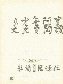 《少年阿宾》全文免费阅读