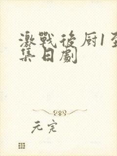 激战后厨1至5集日剧