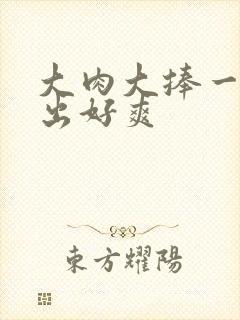 大肉大捧一进一出好爽