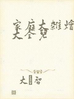 家庭大杂烩小说大全儿