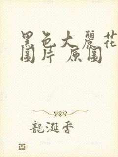 黑色大丽花真实图片 原图