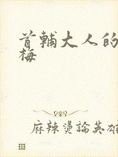 首辅大人的小青梅