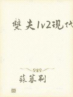 双夫1v2现代