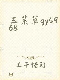 三叶草gy5968