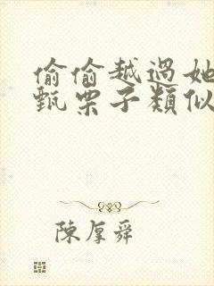 偷偷越过她by甄栗子类似小说封面