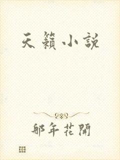 天籁小说