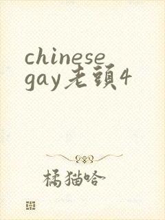 chinesegay老头4