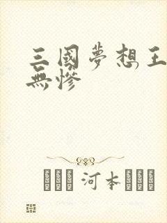 三国梦想王元姬无惨