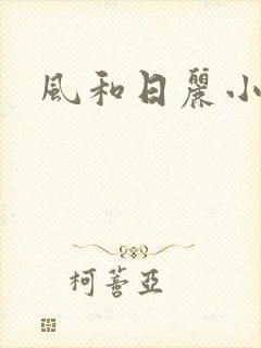风和日丽小说