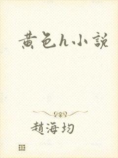 黄色h小说封面