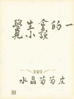 学生会的一己之见小说