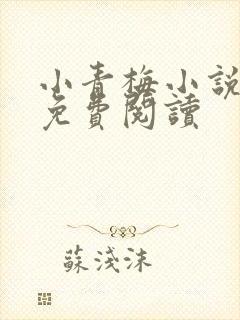 小青梅小说全文免费阅读