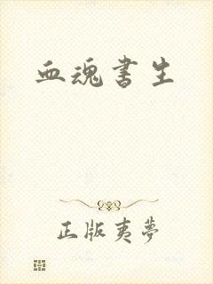 血魂书生