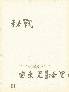 秘战