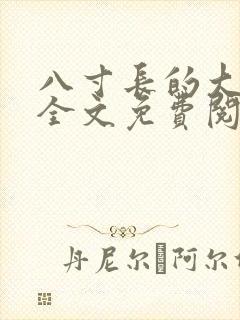 八寸长的大宝贝全文免费阅读
