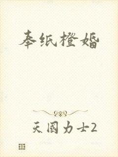 《奉纸橙婚》小说封面