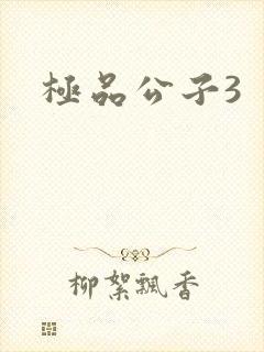极品公子3