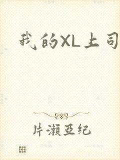 我的XL上司